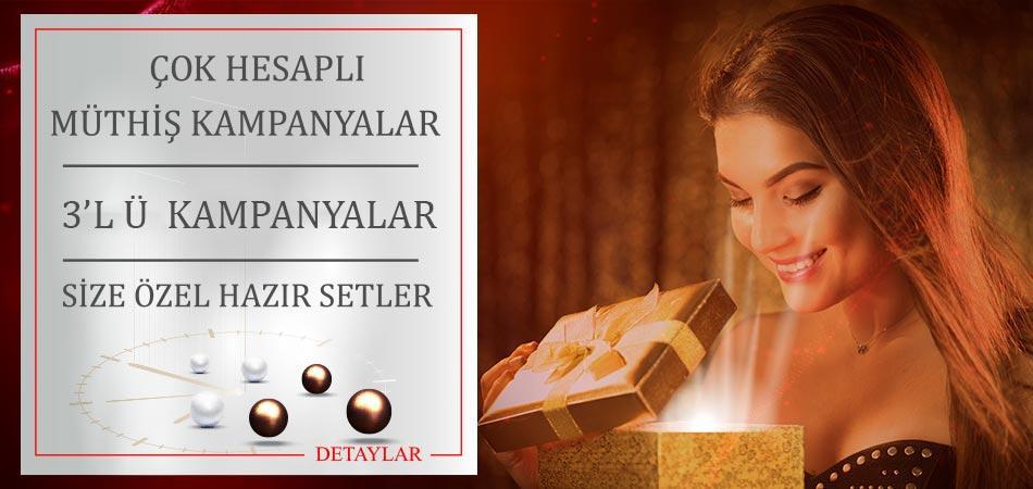 Gümüş Suyu Kampanyaları